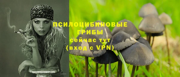 a pvp Киреевск