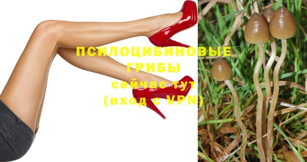 a pvp Киреевск