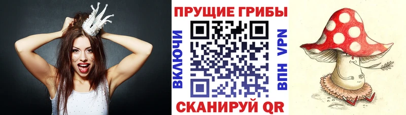 Галлюциногенные грибы прущие грибы  Купить закладки  Жигулёвск 